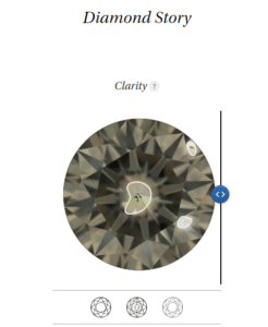 Clarity Halo from the Sarine Profile digital diamond report. 